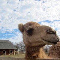 Profile Picture of Chuck Reese (@chuck-reese-5) on Quora