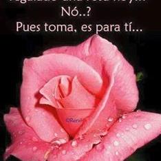 Profile Picture of Tony Gallardo (@tonygallardo2) on Twitter