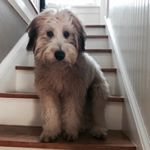 Profile Picture of Theodore Walter (@the.o.dorable) on Instagram
