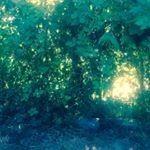 Profile Picture of Renee Randall (@16.beauty.in.everything) on Instagram