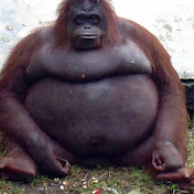 Profile Picture of Andrew Abboud (@andrewabboud1050) on Youtube