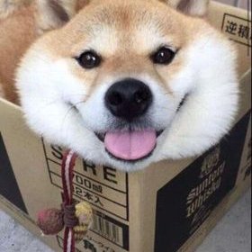 Profile Picture of Tim Barlow (@Timothy45414086) on Twitter