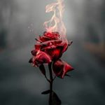 Profile Picture of I hate my f****** life (@alberto.hermida.562) on Instagram