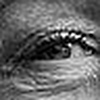 Profile Picture of Pamela Treece (@pamelatreece) on Flickr