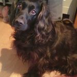 Profile Picture of GARY ARNELL (@garyarnell321) on Instagram