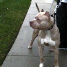 Profile Picture of John Trammel (@John-Trammel) on Facebook