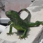 Profile Picture of jeff (@jeff_bartholomew7) on Instagram