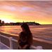 Profile Picture of Mariana Curl (@Mariana-Curl) on Facebook
