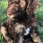 Profile Picture of Kyler Boyd (@kyler.boyd.900125) on Facebook