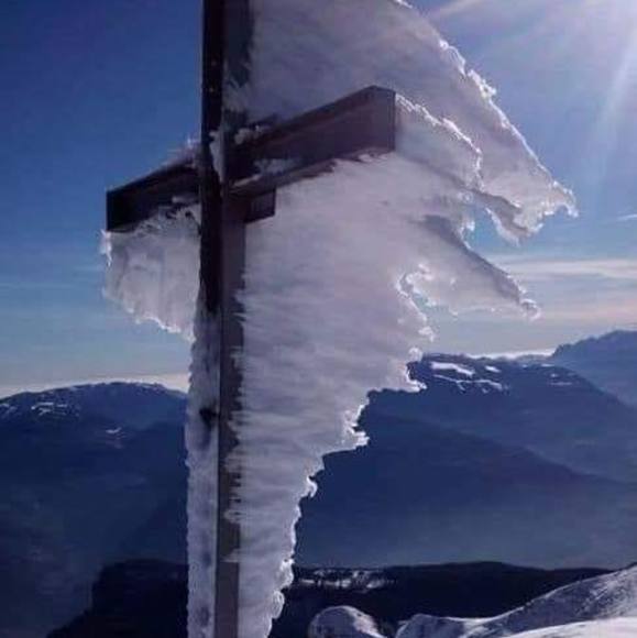 Profile Picture of Debi Papperman (@babycatchers) on Poshmark