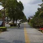 Profile Picture of Joshua Cha (@cha_joshua) on Instagram