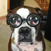 Profile Picture of Joe Morano (@joemorano) on Youtube