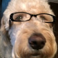 Profile Picture of David-shunk 12423 (@david-shunk-12423) on Quora