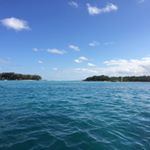 Profile Picture of Joey Wilkinson (@wilko_j15) on Instagram