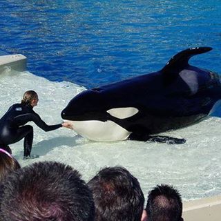 Profile Picture of Dwn Dwnmls Mls (Dmw Nnmw Dnnm) (@icefroze) on Facebook