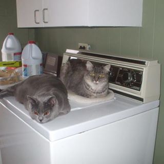 Profile Picture of Simonne Beliveau (@simonne.beliveau) on Facebook