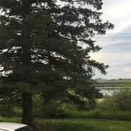 Profile Picture of Doris Bird (@doris.bird.100) on Facebook