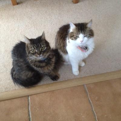 Profile Picture of Tony Jennings-Temple (@TJenningstemple) on Twitter