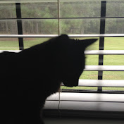 Profile Picture of Connor Bland (@connorbland8753) on Youtube