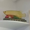 Profile Picture of Amy Yapp (@2176826746) on Tiktok