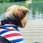 Profile Picture of Michele Hayes (@mhhayes07) on Instagram