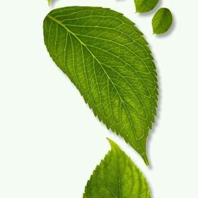 Profile Picture of Daniel Cubillos (@kcubillos51) on Pinterest