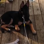 Profile Picture of Doris Atkinson (@doris.atkinson.372) on Facebook