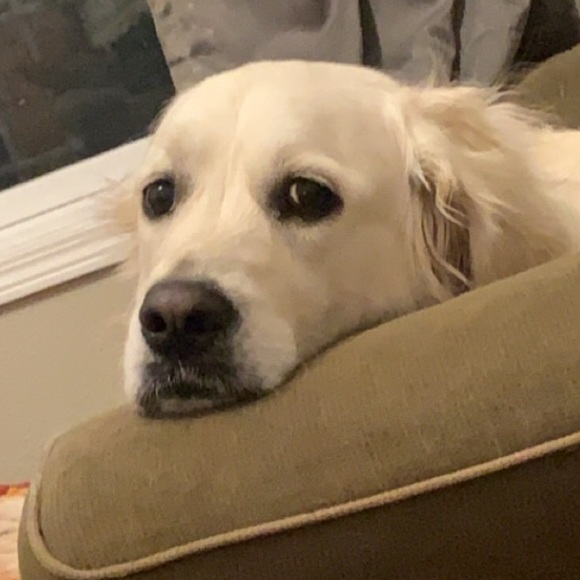 Profile Picture of Katelyn Jaeckels (@kjaeckels) on Poshmark