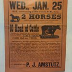 Profile Picture of Peter Amstutz (@amstutz.peter) on Instagram