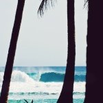 Profile Picture of Michael Fakhoury (@micfakhoury) on Instagram