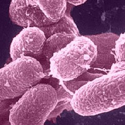 Profile Picture of David Watson (@CrohnsBreakthru) on Twitter