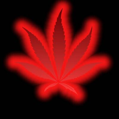 Profile Picture of Jacob Isaiah Sneed (@jacobsneed777) on Twitter