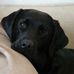 Profile Picture of Josiane Hardy Matazzoni Antoine (@Josiane-Hardy-Matazzoni-Antoine) on Facebook