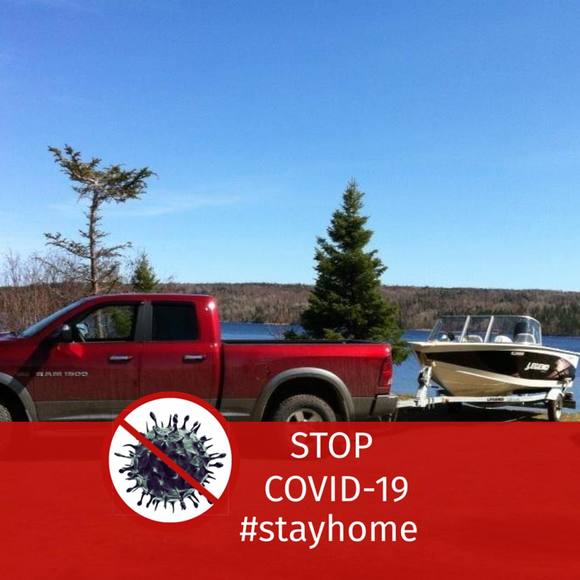 Profile Picture of Dave Best (@davebest64) on Poshmark