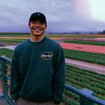 Profile Picture of Marc Oshiro (@marc_the_shark) on Instagram