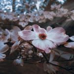 Profile Picture of Ben Torres (@bentorres8916) on Instagram