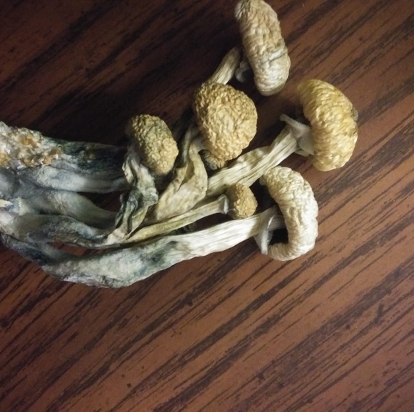 Profile Picture of Brent Bailey (@b42brent) on Poshmark