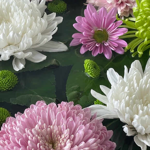 Profile Picture of Jane Daniels (@jcid819) on Poshmark