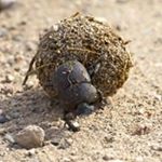 Profile Picture of David Toman (@davidtoman.waterloo) on Instagram