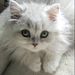 Profile Picture of Adri Barrón (@adanitas0854) on Pinterest