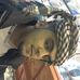 Profile Picture of Shaibi Ahmad (@shaibi.ahmad.54) on Facebook