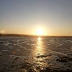 Profile Picture of Daniel  Branch (@daniel_branch2005) on Instagram