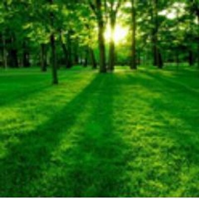 Profile Picture of Amado Silva (@amado49115) on Twitter