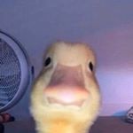 Profile Picture of cathy.sandovall (@cathy.sandovall) on Instagram