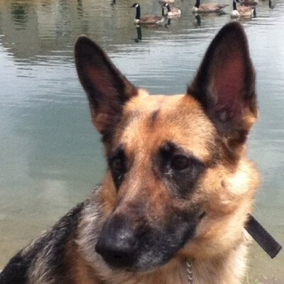 Profile Picture of Michael Schauer (@mschauer72) on Twitter