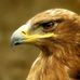 Profile Picture of Leonard Holzer (@leonard.holzer.31) on Facebook