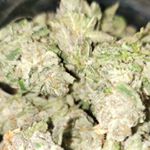 Profile Picture of Jason Hughes (@j_servin_em_up) on Instagram