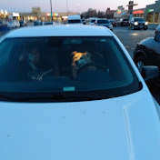 Profile Picture of Michael Gallagher (@michaelgallagher7481) on Youtube