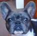 Profile Picture of James Sutcliffe (@james.sutcliffe.1848) on Facebook