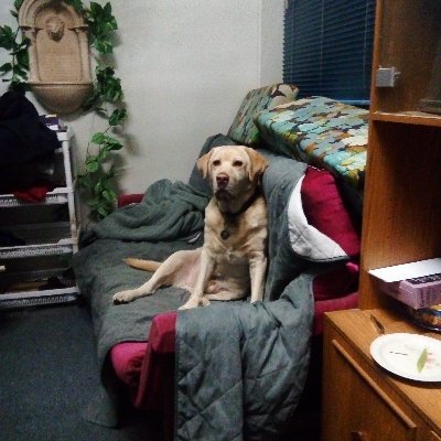 Profile Picture of Jacob Wolters (@JacobWolters4) on Twitter